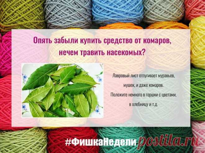 30 полезных советов.