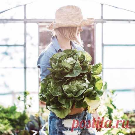 5 незаменимых витаминов для кожи: продукты, которые стоит есть прямо сейчас – Woman & Delice