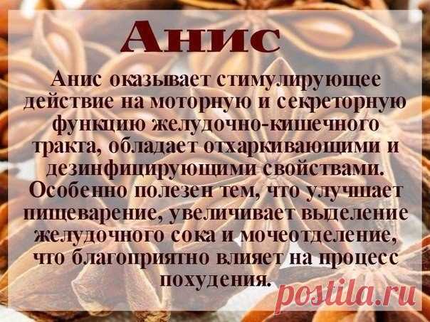 Фото Без названия. Альбом Р В¤Р С•РЎвЂљР С• Р С–РЎР‚РЎС“Р С—Р С—РЎвЂ№ - 140028 фото. Фотографии Коллекция Рецептов.