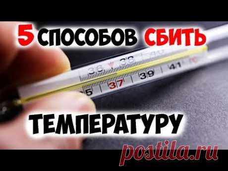 Высокую температуру хорошо сбивает СОЛЁНЫЙ огурец! | полезный совет | Яндекс Дзен