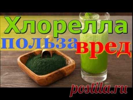 Хлорелла полезные свойства и противопоказания. Как принимать