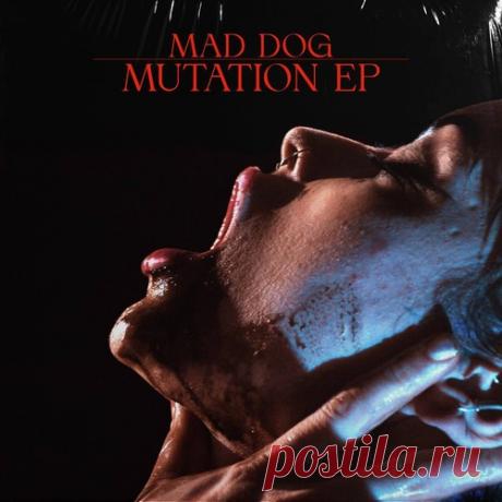 Mad Dog, Vendex, Angel Cannon - Mutation EP - Extended Mix free download mp3 music 320kbps