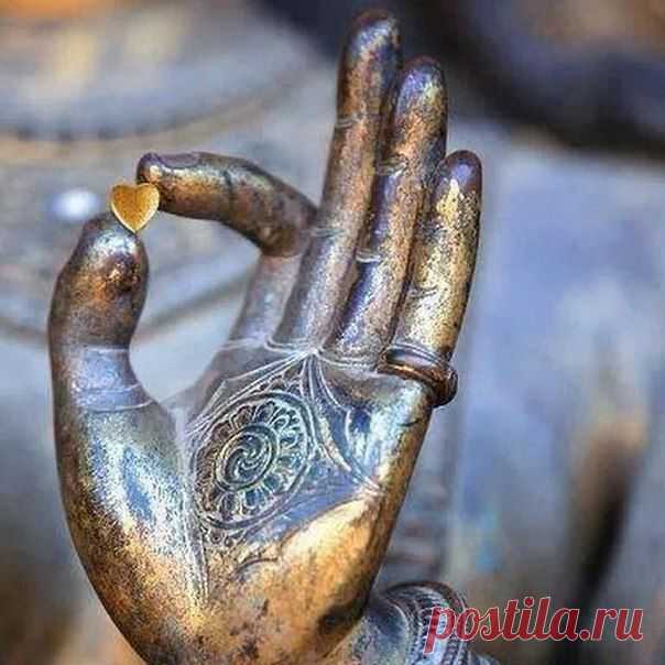 7 жизненных циклов. ЭЗОТЕРИКА ЙОГА МЕДИТАЦИЯ