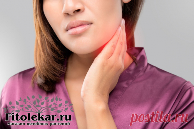 Лимфаденит лечение народными средствами | Фитотерапия