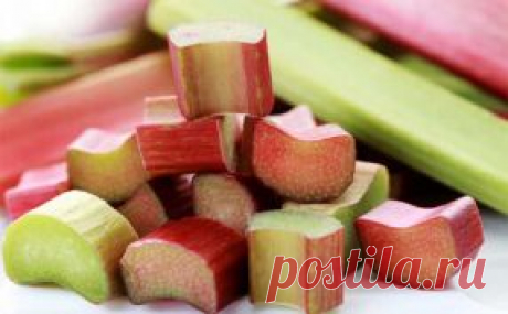 Готовим на даче на sotki.ru | Рецепты полезных и вкусных блюд из выращенных на даче овощей, фруктов, ягод
