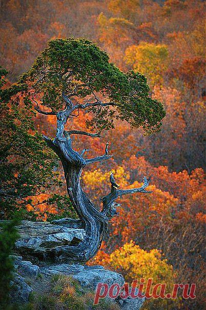 без комментариев