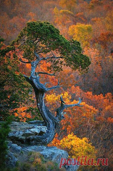 без комментариев