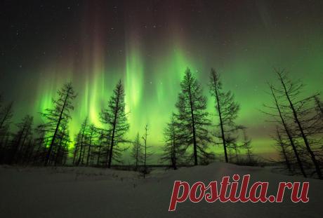 новый уренгой природа фото: 14 тыс изображений найдено в Яндекс.Картинках