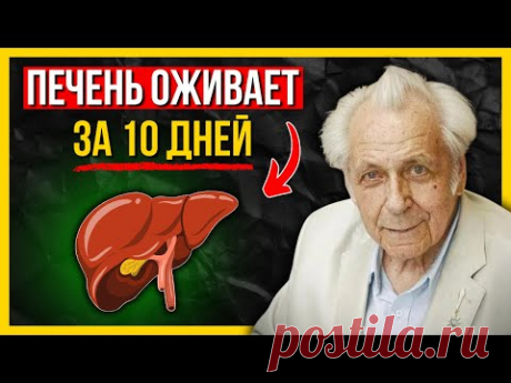 Простые шаги чтобы спасти свою печень прямо сейчас