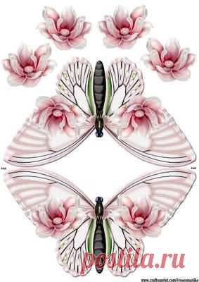 (621) Magnolia Blossoms Shaped card Butterfly on Craftsuprint designed by Marijke Kok - Lovely shaped card with magnolia blossoms,decoupage the front fro…