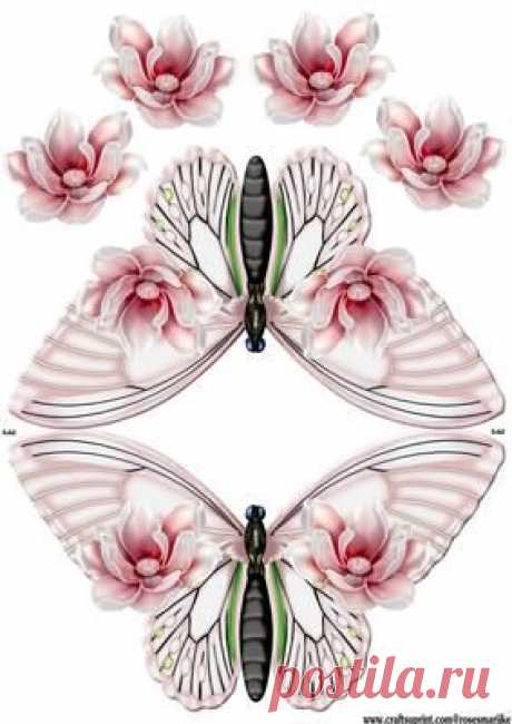 (621) Magnolia Blossoms Shaped card Butterfly on Craftsuprint designed by Marijke Kok - Lovely shaped card with magnolia blossoms,decoupage the front fro…