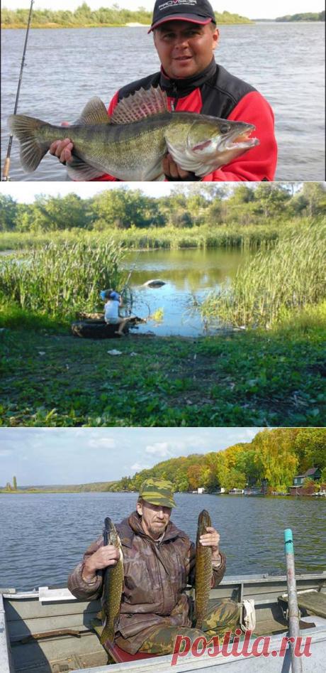 Места для рыбалки в Самарской области