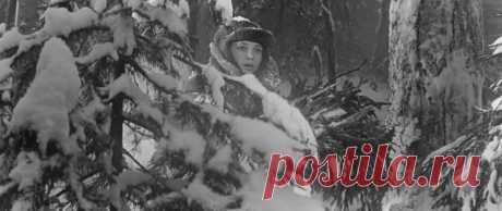 &quot;Девчата&quot; фильм 1961 года. Когда успевает готовить Тося. | Дзенофоб. Девчата фильм 1961 года, но казалось не потерял свою актуальность и сейчас. Есть небольшие странности в фильме Девчата, но они не очень значительны, но поговорить о них можно.