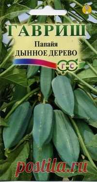 Семена. Папайя 