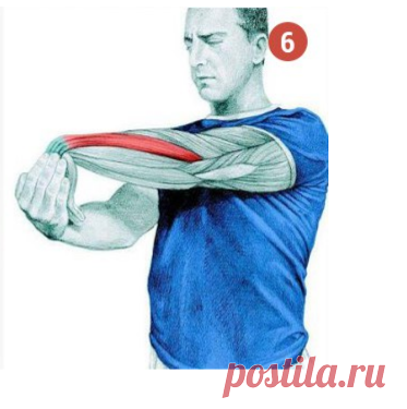 14 упражнений для растяжки мышц всего тела