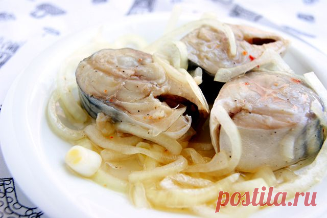 563. Скумбрия, маринованная в домашних условиях - Блюда из рыб и морепродуктов - Категории рецептов - Каталог рецептов - Мусульманка