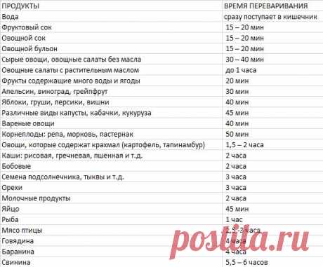Сколько переваривается пища! Таблица времени переваривания пищи. | ЖЕНСКИЙ МИР