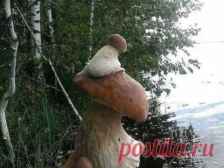 Чудо природы !