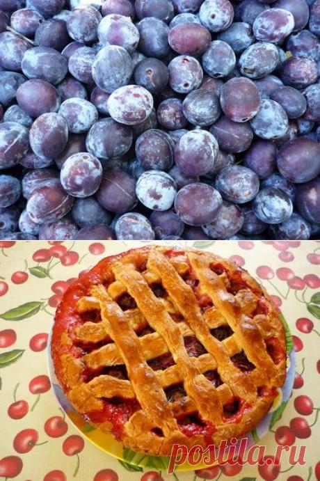 Пирог со сливами на сметане. Подробный рецепт с фото | Cofete.ru