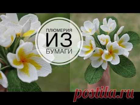 Plumeria - paper flowers / Плюмерия - цветы из бумаги / DIY TSVORIC