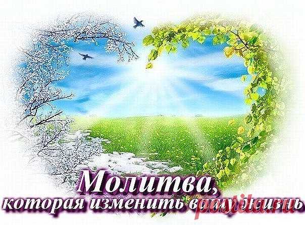 (54) Одноклассники