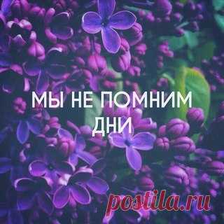 Аня Емельянова