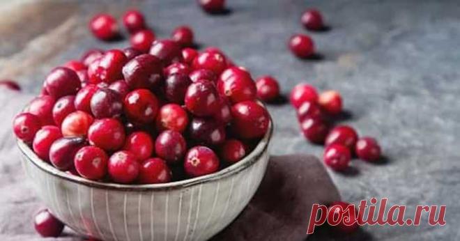 Список продуктов которые чистят организм изнутри — Домашний уют