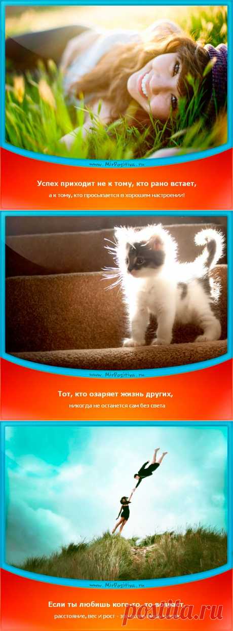 Позитивчики Недели (смотреть фото)