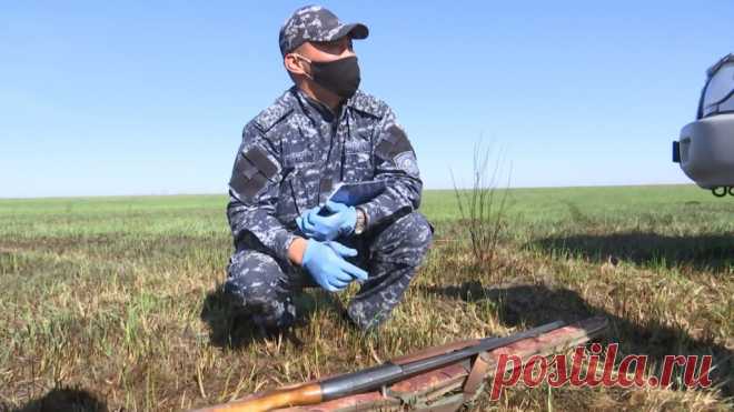 Сложности борьбы с браконьерами: охотники экипированы лучше егерской службы | Судебный репортаж