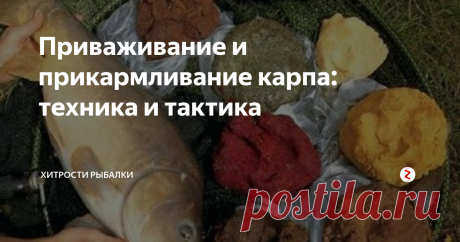 Приваживание и прикармливание карпа: техника и тактика Прежде чем забрасывать в воду приваду и прикормку, стоит как следует изучить сектор ловли, чтобы как можно точнее определить точки приваживания Если в вашем распоряжении есть лодка с эхолотом - задача упрощается, если нет - придется потрудиться. Хорошенько прощупав маркером дно, отметьте для себя все аномалии бровки, ямы, бугры, коряжники изменения структуры грунта. Лучше потратить больше времени