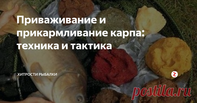 Приваживание и прикармливание карпа: техника и тактика Прежде чем забрасывать в воду приваду и прикормку, стоит как следует изучить сектор ловли, чтобы как можно точнее определить точки приваживания Если в вашем распоряжении есть лодка с эхолотом - задача упрощается, если нет - придется потрудиться. Хорошенько прощупав маркером дно, отметьте для себя все аномалии бровки, ямы, бугры, коряжники изменения структуры грунта. Лучше потратить больше времени