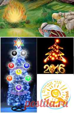 ГОРЯЩИЙ КУСТ, ГОРЯЩАЯ ЕЛКА, ДЕРЕВО СФИРОТ И 2016 ГОД -  Каббала | Еврейская глубинная мудрость - регулярные материалы от р. Меира Брука