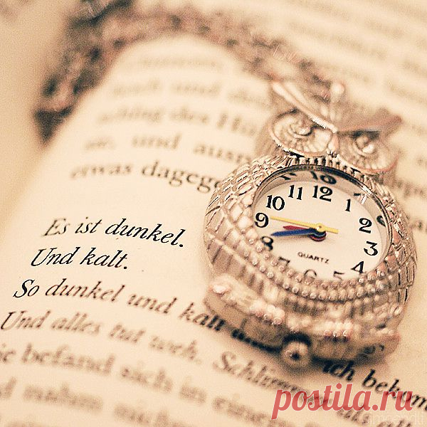 книжное