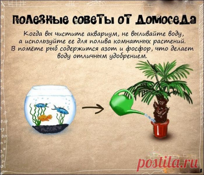 Супер полезные советы. — Делимся советами