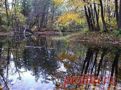 Мой Мир@Mail.Ru
