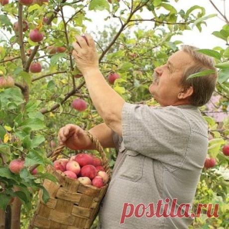 Ваш главный враг по Знаку Зодиака - МирТесен