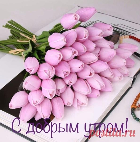 Пусть этот день наполнен будет оптимизмом.
Гармония, блаженство в воздухе витают
И первые лучи сияющего солнца
Прекрасного всем утра пожелают.