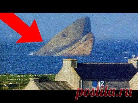 5 Доказательств Того, что Мегалодон До Сих Пор Жив - YouTube