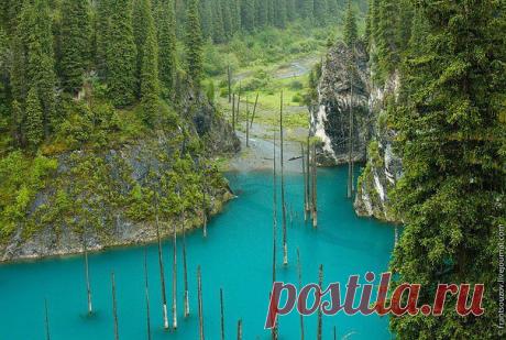 Казахстан, Тянь-Шань. Горное озеро на высоте 2 000 метров, чистейшая вода нереального бирюзового цвета и мертвый лес, стоящий среди нее — когда-то здесь росли деревья.