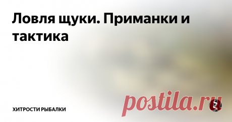 Ловля щуки. Приманки и тактика  Не все знают, что успешная ловля щуки - это не только правильный подбор приманки, но и знание того, как щука ведет себя во время охоты. Щука, как правило, сидит в засаде. Для этого она использует неровности дна, коряги, топляк, растения, камни и другие предметы на дне. Когда добыча приблизится на достаточно близкое расстояние, щука в молниеносном броске хватает её. Такое поведение полностью опреде