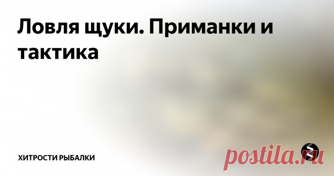 Ловля щуки. Приманки и тактика  Не все знают, что успешная ловля щуки - это не только правильный подбор приманки, но и знание того, как щука ведет себя во время охоты. Щука, как правило, сидит в засаде. Для этого она использует неровности дна, коряги, топляк, растения, камни и другие предметы на дне. Когда добыча приблизится на достаточно близкое расстояние, щука в молниеносном броске хватает её. Такое поведение полностью опреде