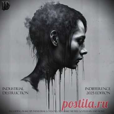 Industrial Destruction - InDifference (2025 Edition) (2025) 320kbps / FLAC
