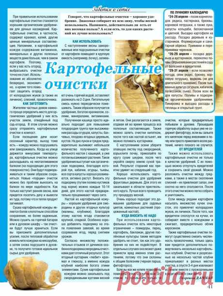 Картофельные очистки