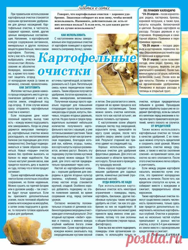 Картофельные очистки