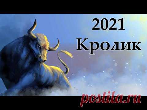 Китайский гороскоп на 2021 год : Кролик (Кот)
