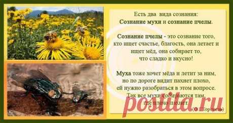 ПРИШЛО ВРЕМЯ ВѢДАТЬ