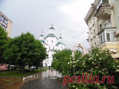 (50) Одноклассники