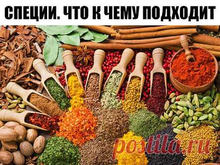 Шпаргалка по специям