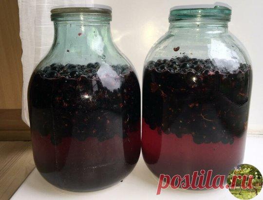 Домашнее вино из черной смородины.
Ингредиенты:
10 кг ягодок черной смородины,
5-6 кг песка сахарного,
15 литров воды.
Приготовление:
Прежде чем сделать вино из смородины, ягодки внимательно перебираются, удаляя из общей массы недоспевшие и подгнившие плоды. Мыть отобранную смородину не надо, так как естественные дрожжи в них находятся на поверхности. 
Ягоды сильно разминаются руками или при помощи деревянной скалки, чтобы они хорошенько раздавились. Половина подготовленного сахара растворяется