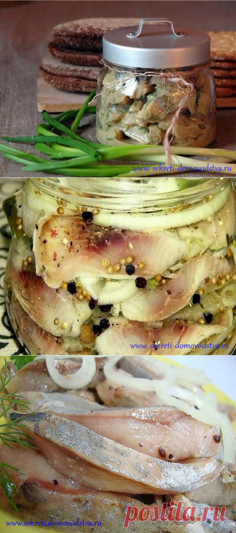 Сельдь соленая в домашних условиях — 14 очень вкусных рецептов